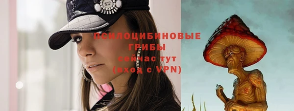 винт Переславль-Залесский