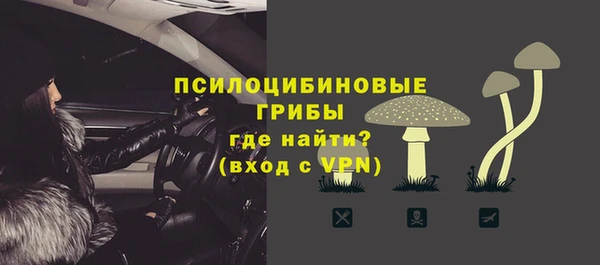 spice Пересвет