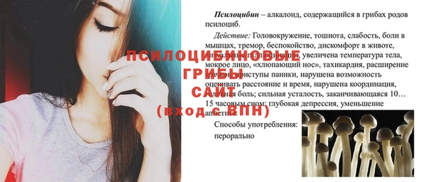 spice Пересвет