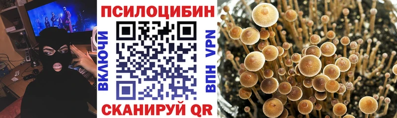 Псилоцибиновые грибы Psilocybe  Мамадыш 